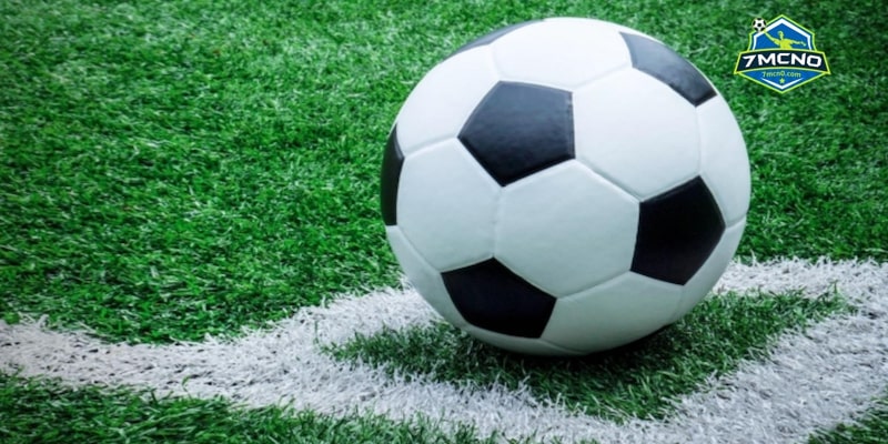 7M tối ưu trên mọi thiết bị